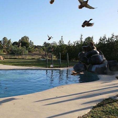 Ardea Purpurea Hotel Villamanrique De La Condesa Bagian luar foto