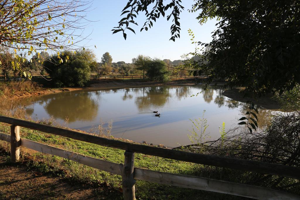 Ardea Purpurea Hotel Villamanrique De La Condesa Bagian luar foto