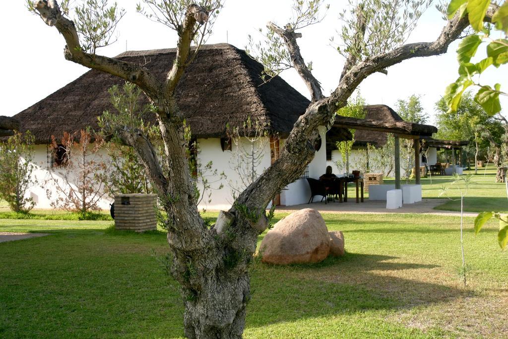 Ardea Purpurea Hotel Villamanrique De La Condesa Bagian luar foto